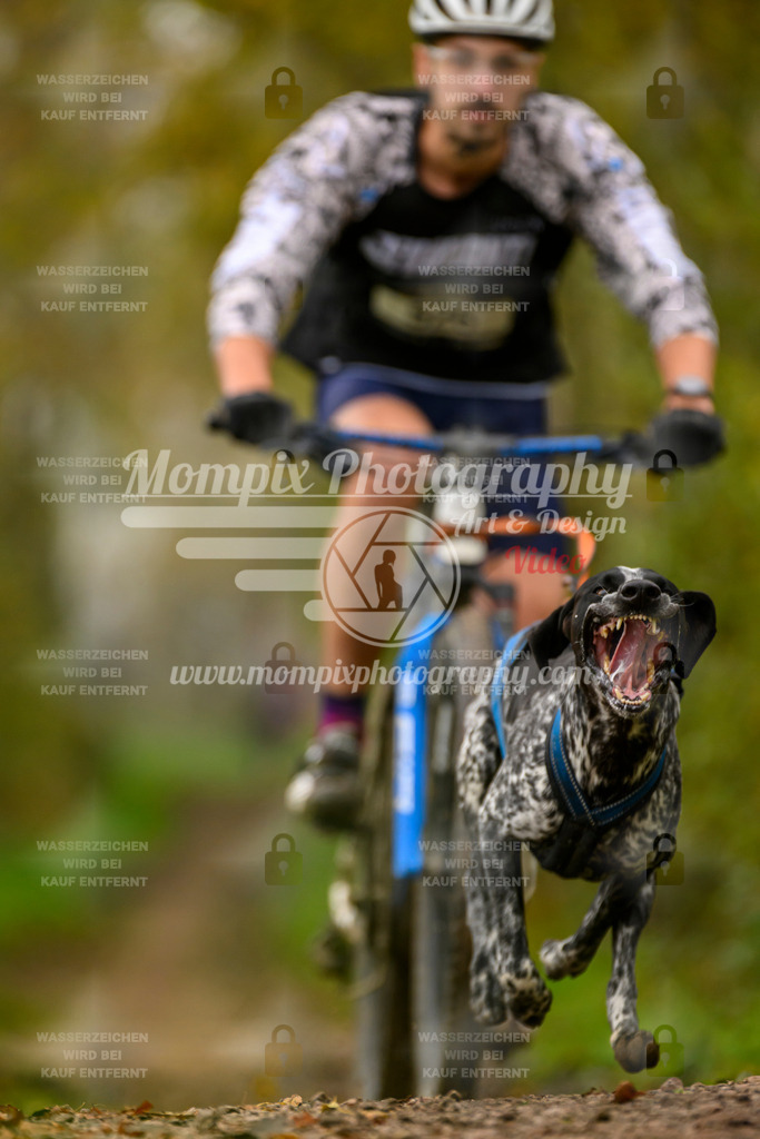 MompixPhotography_20TSB_E6_Bike-34 | PayLife
