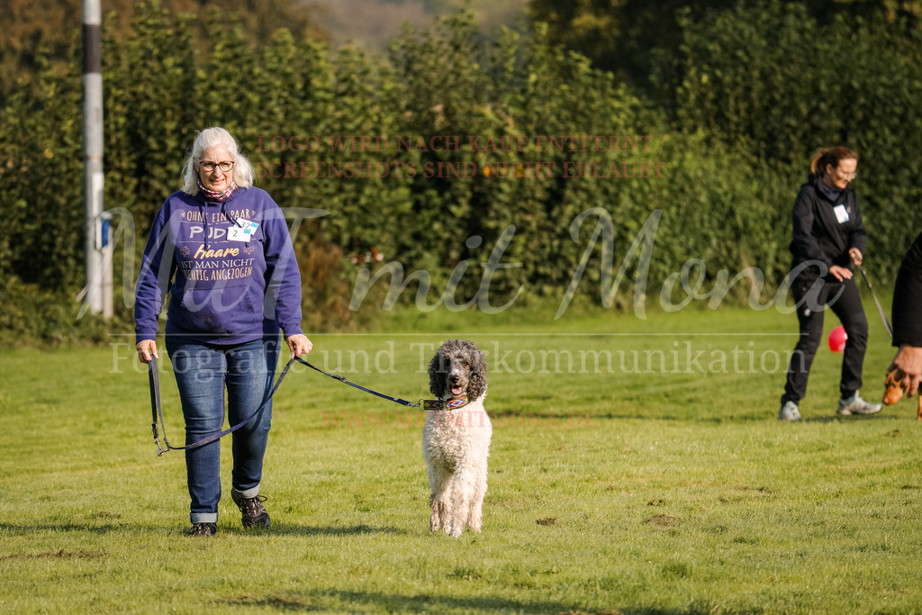 20250928_Hunderennen-4 | MuT (Mensch und Tier) mit Mona - Fotografie und Tierkommunikation - Realisiert mit Pictrs.com