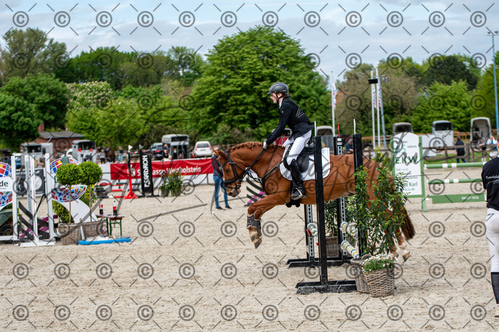 KPT_5980-2 | andre_photographic