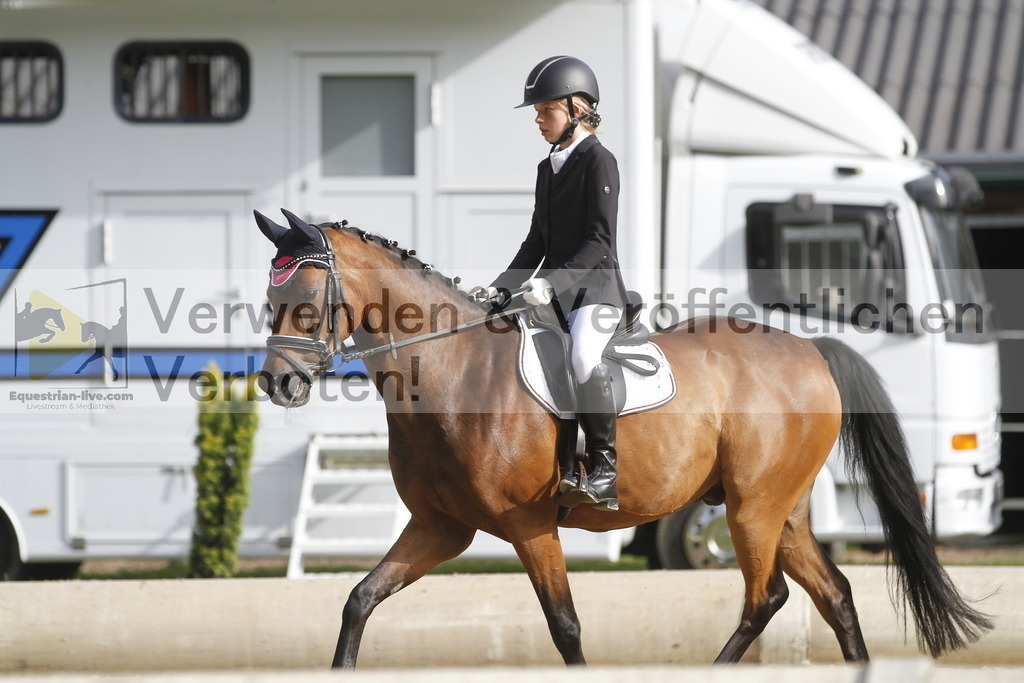 _MG_0065 | equestrian-live-com