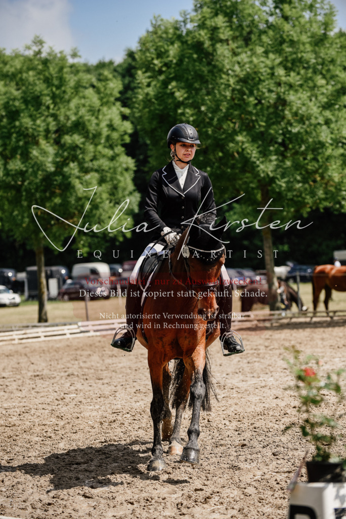 DSC_0929 | Pferde- und Turnierfotografie in Westsachsen. Pferdeportraits, Auftragszeichnungen und intuitive Kunst.
