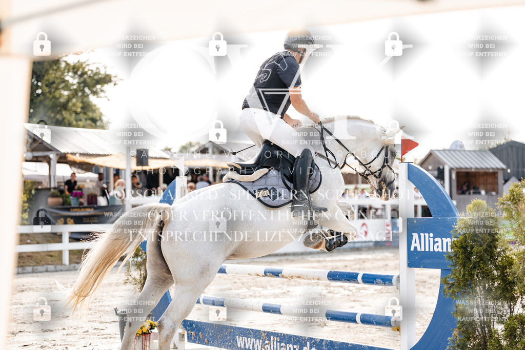 CK906488 | Turnierfotografie Pferdefotografie Trier Rheinland-Pfalz Pferdesport Reitsport Tierfotografie Sportfotografie Pferdevideo Pferdevideografie Equestrianvideography equestrianphotography  - Realisiert mit Pictrs.com