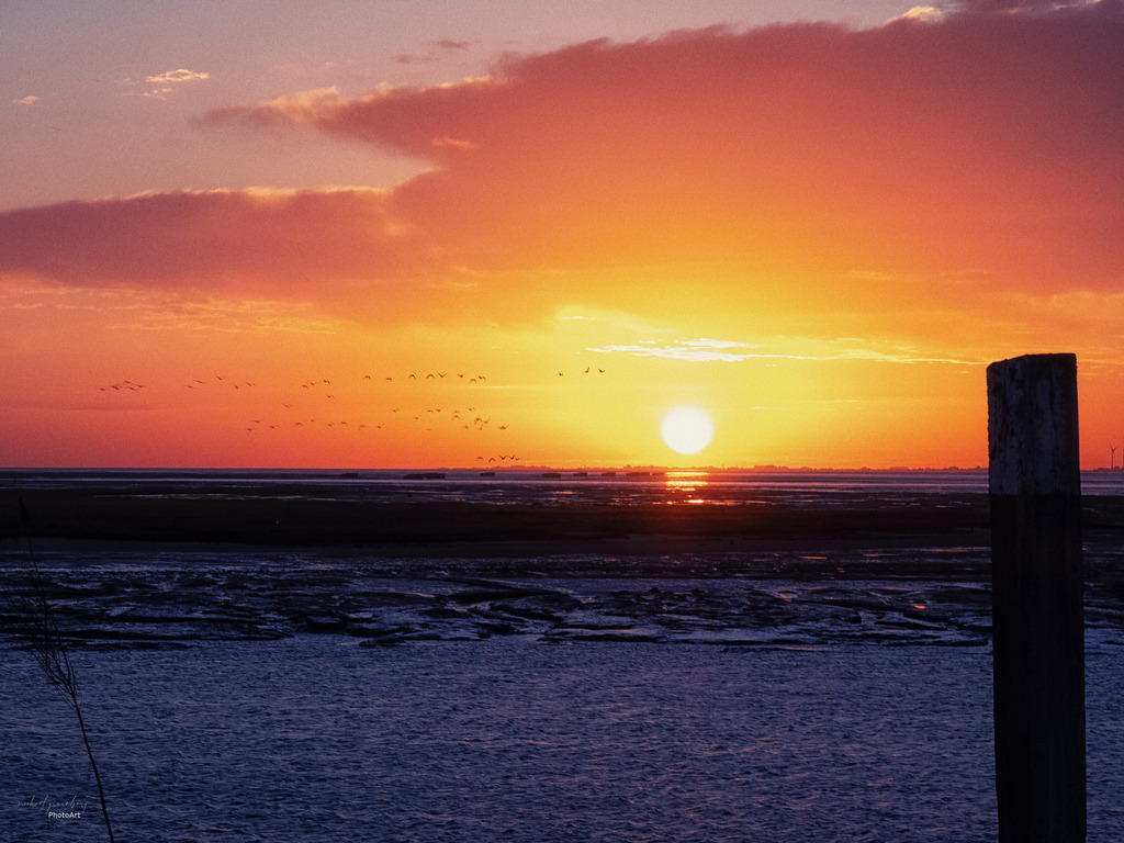 Sonnenaufgang | Fotokunst, Workshops, Seminare und fotografische Übungen in Erkelenz. - Realisiert mit Pictrs.com