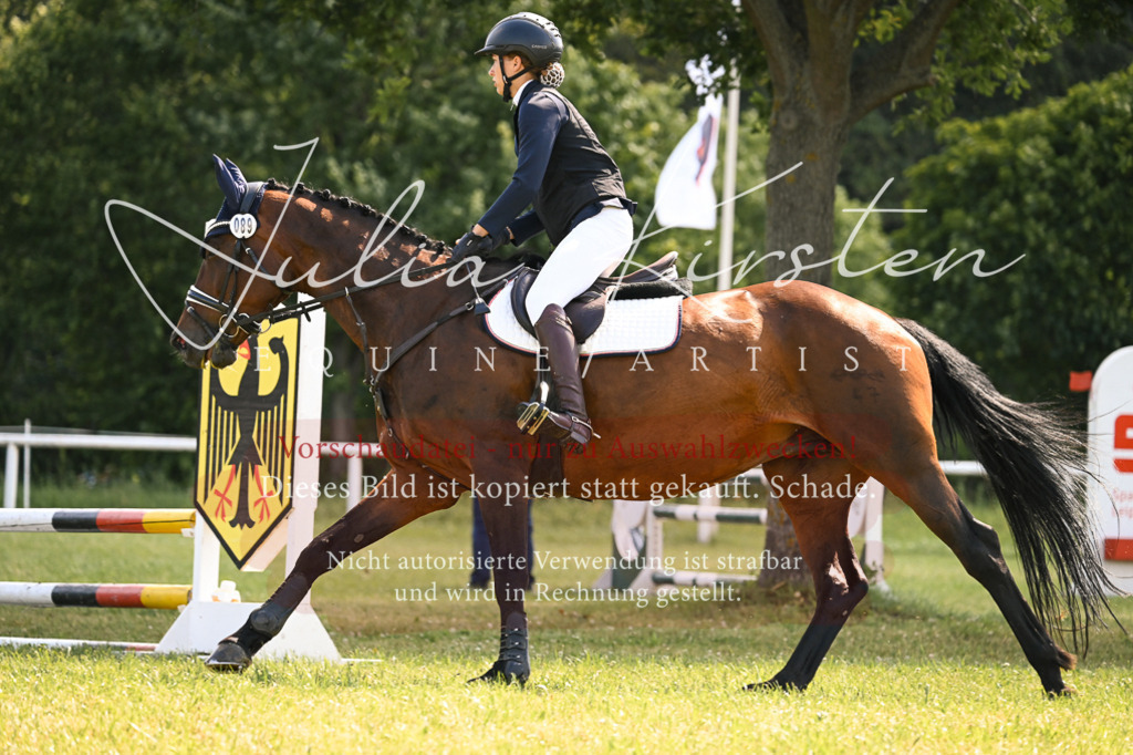 DSC_8859 | Pferde- und Turnierfotografie in Westsachsen. Pferdeportraits, Auftragszeichnungen und intuitive Kunst.