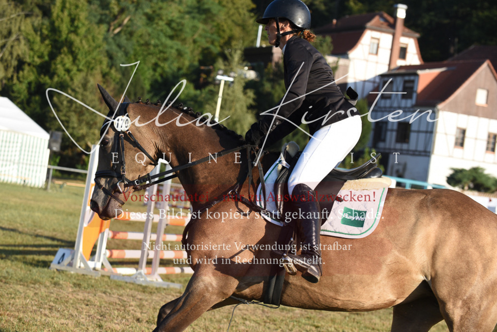 DSC_4836 | Pferde- und Turnierfotografie in Westsachsen. Pferdeportraits, Auftragszeichnungen und intuitive Kunst.