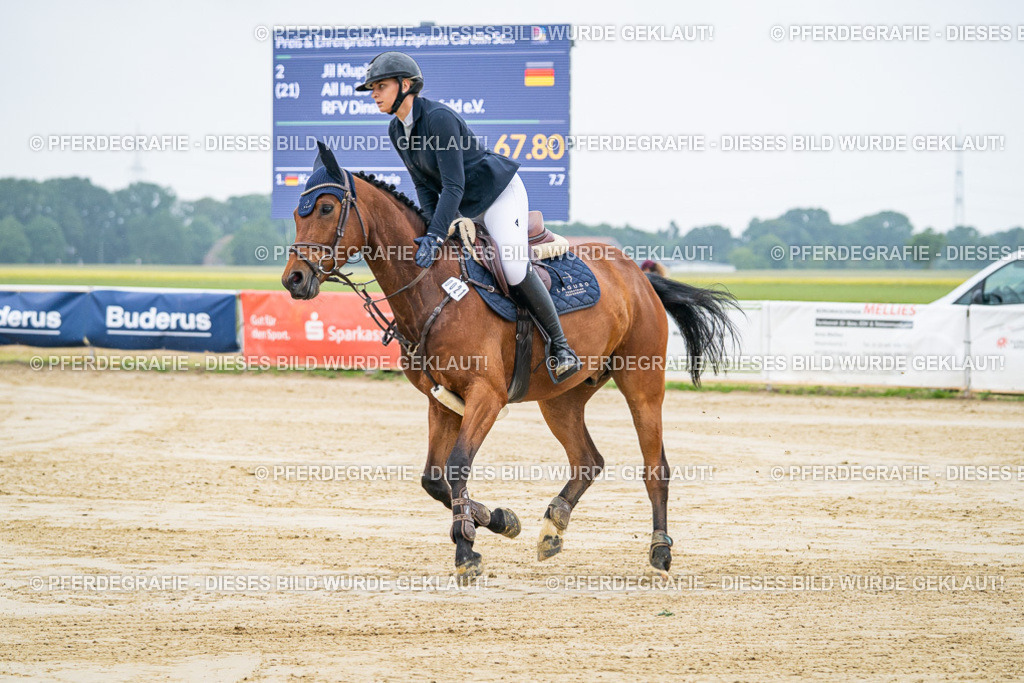 DSC01223 | Pferdegrafie