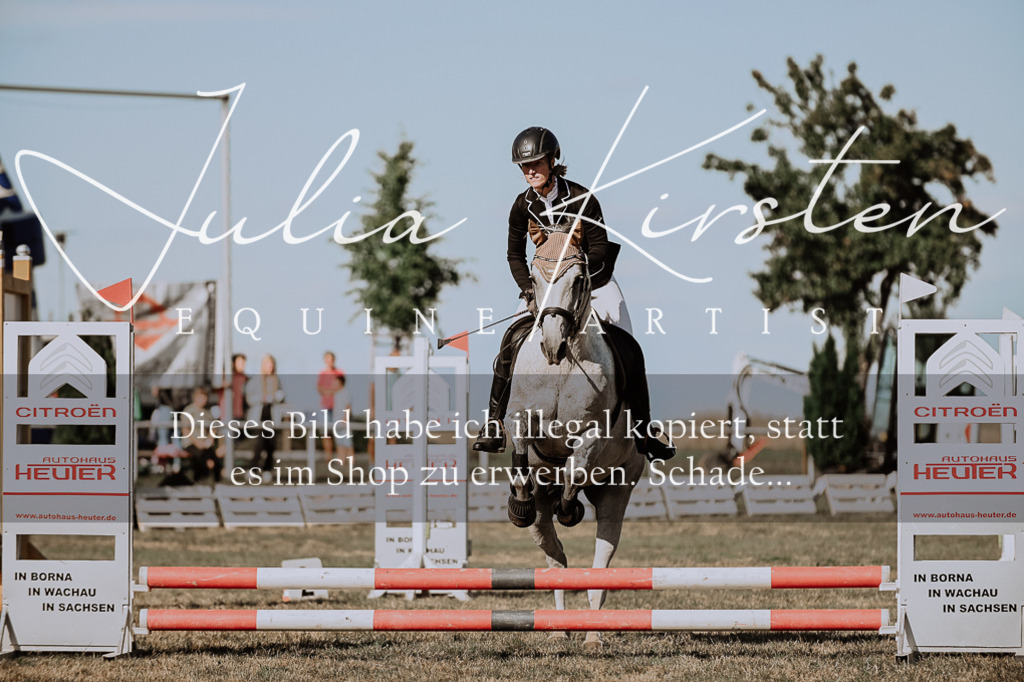 DSC_9503 | Pferde- und Turnierfotografie in Westsachsen. Pferdeportraits, Auftragszeichnungen und intuitive Kunst.