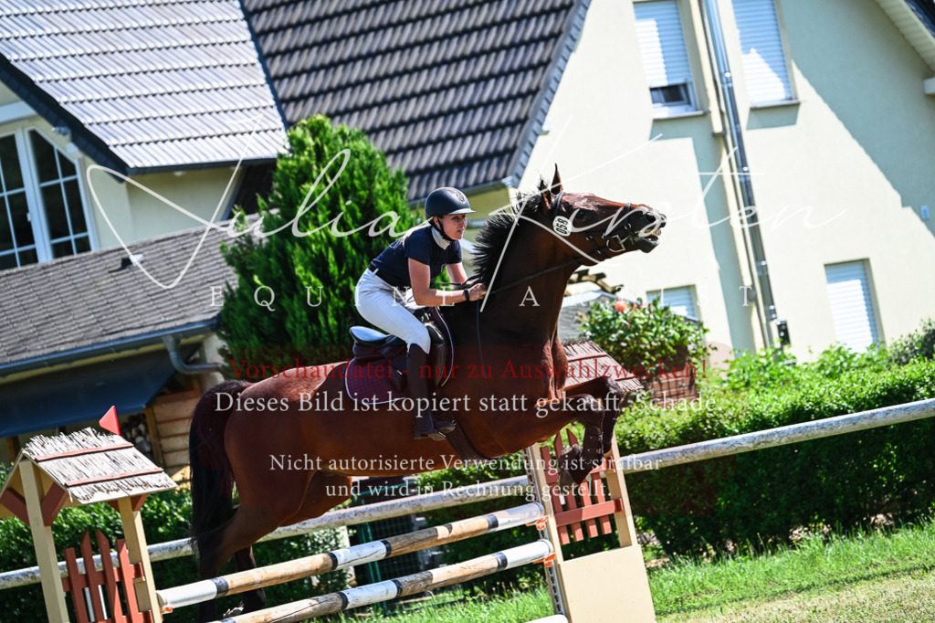 DSC_1282 | Pferde- und Turnierfotografie in Westsachsen. Pferdeportraits, Auftragszeichnungen und intuitive Kunst.