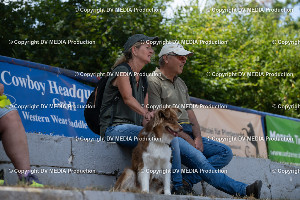 ZS3_9976 | dv-media-shop - Realisiert mit Pictrs.com