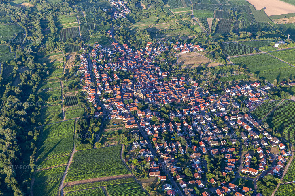 Luftbild: Arzheim im Ortsteil Arzheim in Landau im Bundesland Rheinland-Pfalz in Deutschland. Foto: IMG_133676.jpg vom 18.07.2022 durch Werner Riehm/FLY-FOTO.de/ Stadt Landau