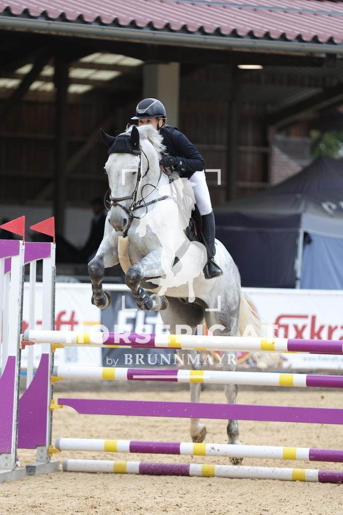 0P6A7026 | Willkommen bei Brunnmayr - Design & Fotografie – Ihrem Spezialisten für Reitturniere und Pferdeveranstaltungen in Oberösterreich, Salzburg und Bayern! Seit über 17 Jahren sind wir leidenschaftlich dabei.