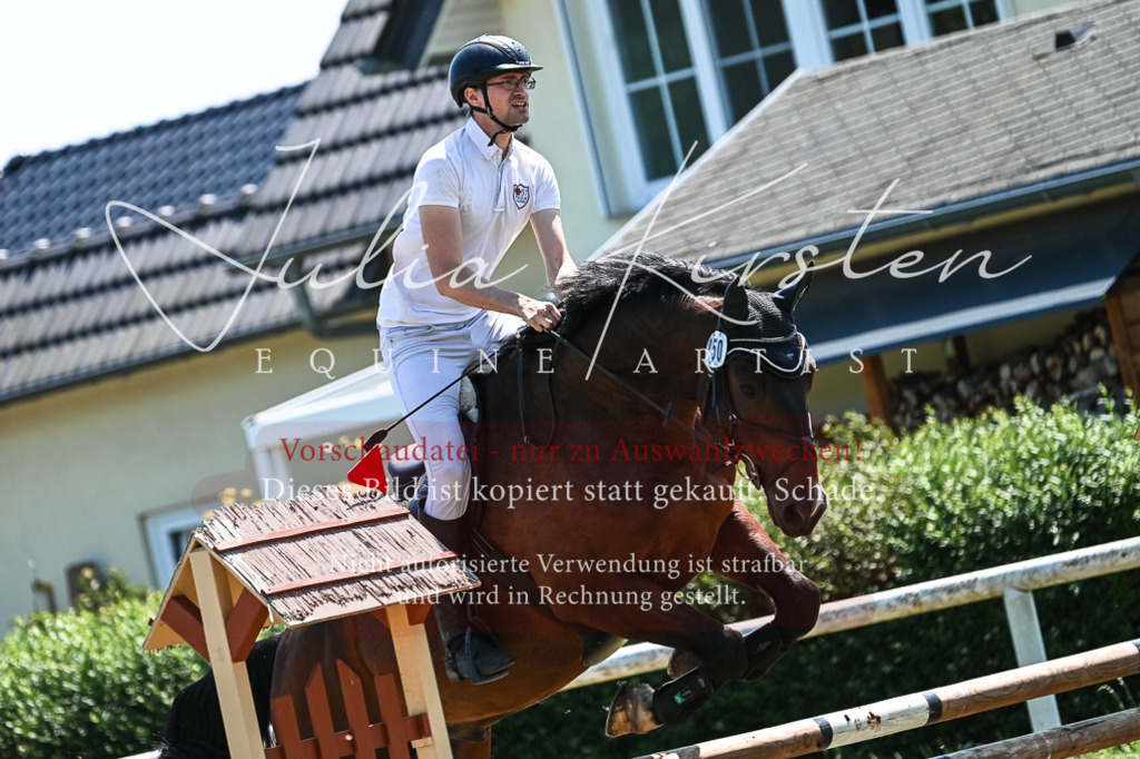 DSC_0471 | Pferde- und Turnierfotografie in Westsachsen. Pferdeportraits, Auftragszeichnungen und intuitive Kunst.