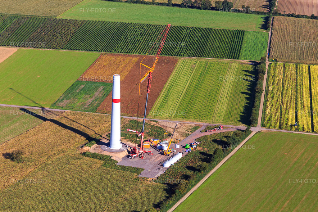 Luftbild: Repowering Windpark Minfeld. JUWI ersetzt vier Altanlagen (GE 1.5) aus 2004 durch zwei neue, modernen Anlagen vom Typ Vestas V162 mit je sechs Megawatt. in Minfeld im Bundesland Rheinland-Pfalz in Deutschland. Foto: IMG_149887.jpg vom 18.09.2025 durch Werner Riehm/FLY-FOTO.deWindpark Minfeld - JUWI