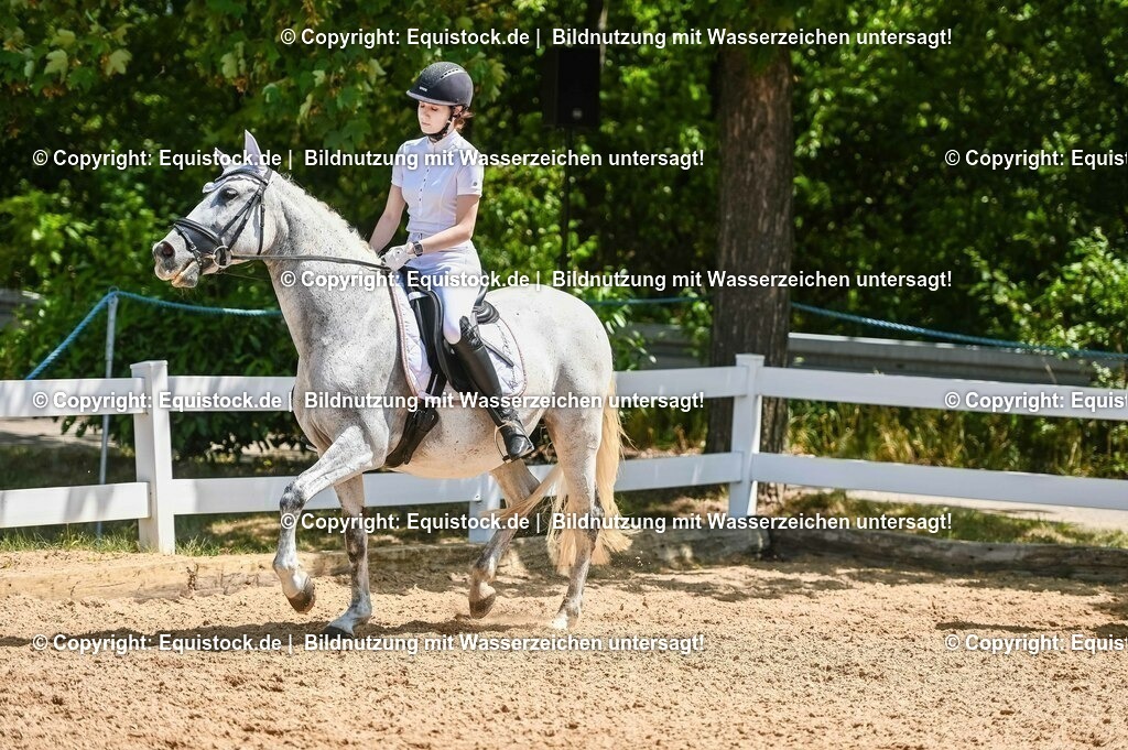 20230715_09_Dressur-WB_0317 | equistock