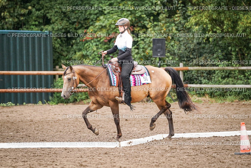 DSC04535 | Pferdegrafie