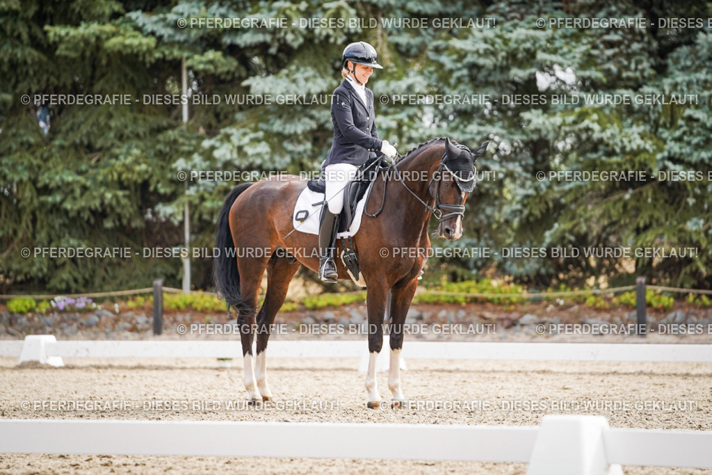 DSC01630 | Pferdegrafie