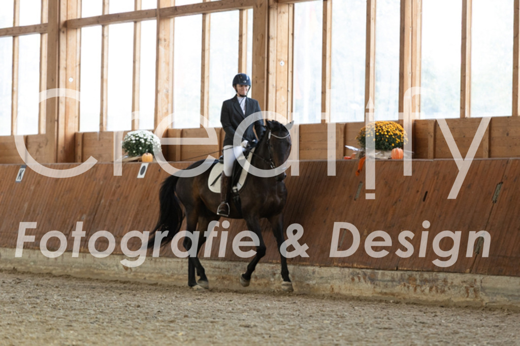 IMG_5685 | Creatify Fotografie