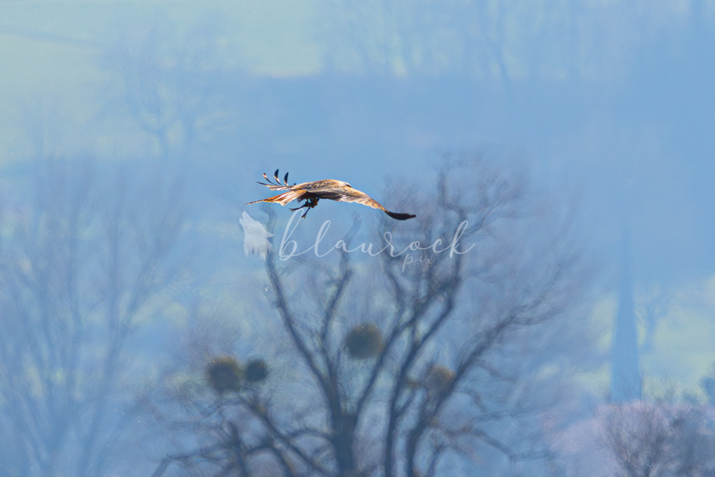  waterslide--3 | Frühlingserwachen