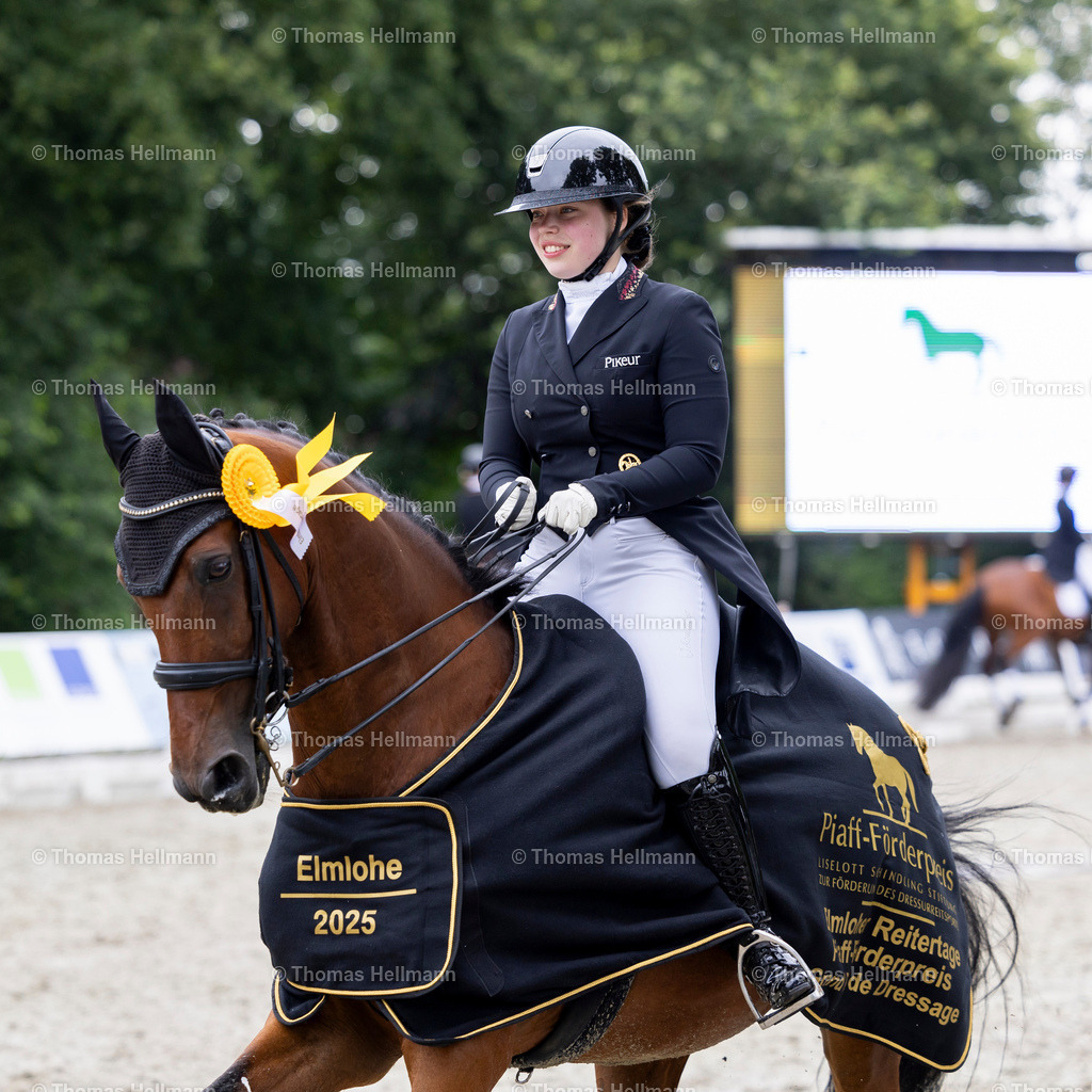 TH_1481 Riccio 7_ Pia-Carlotta Gagel_32173 | Elmloher Reitertage 2025 am 03.08.25 in Elmlohe,