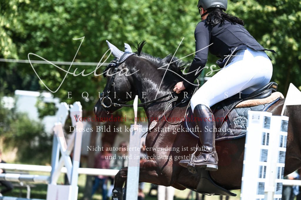 DSC_0202 | Pferde- und Turnierfotografie in Westsachsen. Pferdeportraits, Auftragszeichnungen und intuitive Kunst.