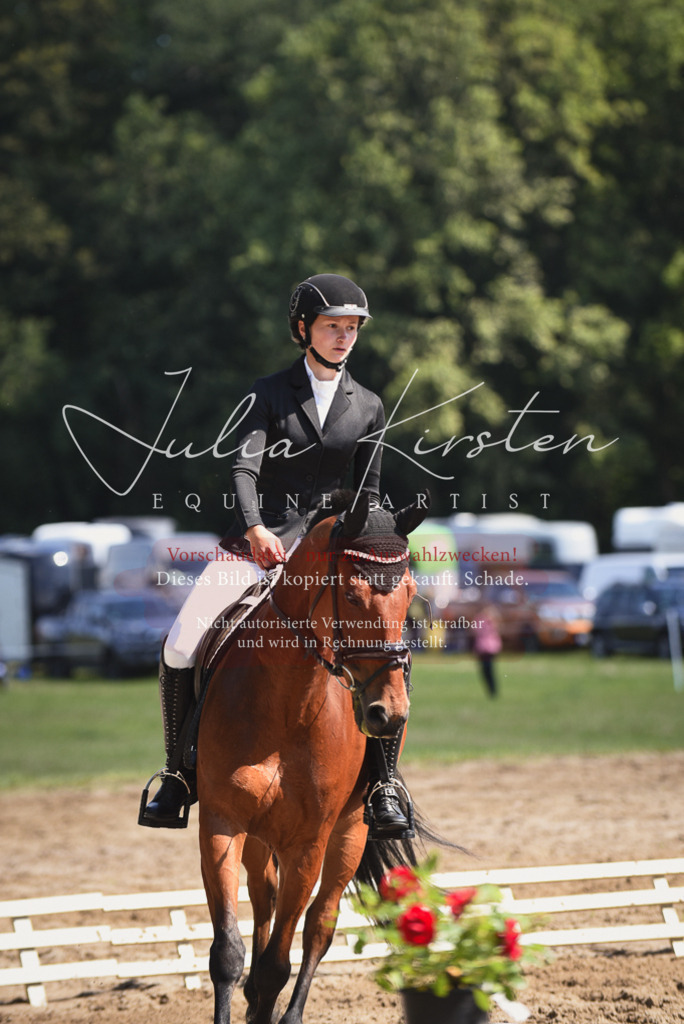 DSC_0478 | Pferde- und Turnierfotografie in Westsachsen. Pferdeportraits, Auftragszeichnungen und intuitive Kunst.