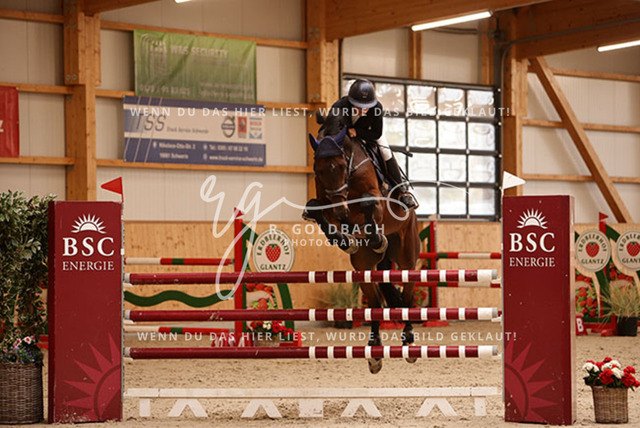 1J2A6229Celina Makowei_ AFP Come McFly_ Kn006_ Glantz_ Hohen Wieschendorf | Foto- und Videografie für alles rund ums Pferd. Hochwertige Bilder und Videos vom Spring- und Dressurreiten, Voltigieren & mehr. Jetzt aktuelle Veranstaltungen und Preise im Shop ansehen. - Realisiert mit Pictrs.com