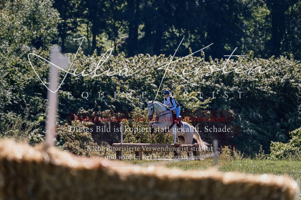 DSC_2018 | Pferde- und Turnierfotografie in Westsachsen. Pferdeportraits, Auftragszeichnungen und intuitive Kunst.