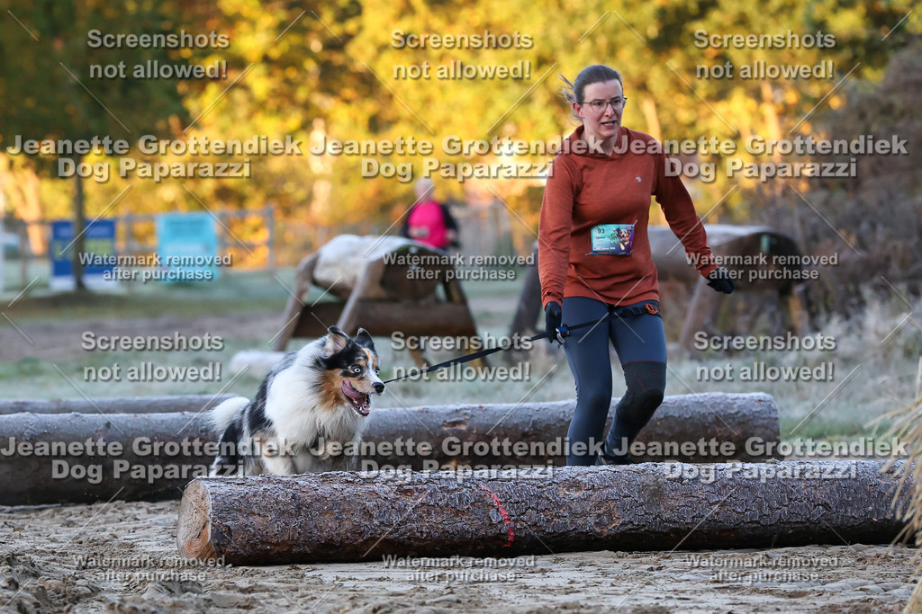 Dog Paparazzi - Strongdog 10-25-259 | Dog Paparazzi Jeanette Grottendiek Fotografie & Videografie - Realisiert mit Pictrs.com