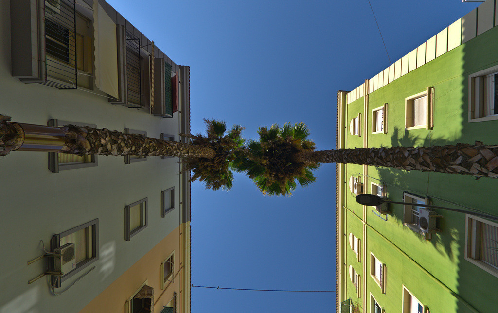 Urlaub Valencia 2023 | Seelentiefe - Bilder die bewegen - Realisiert mit Pictrs.com