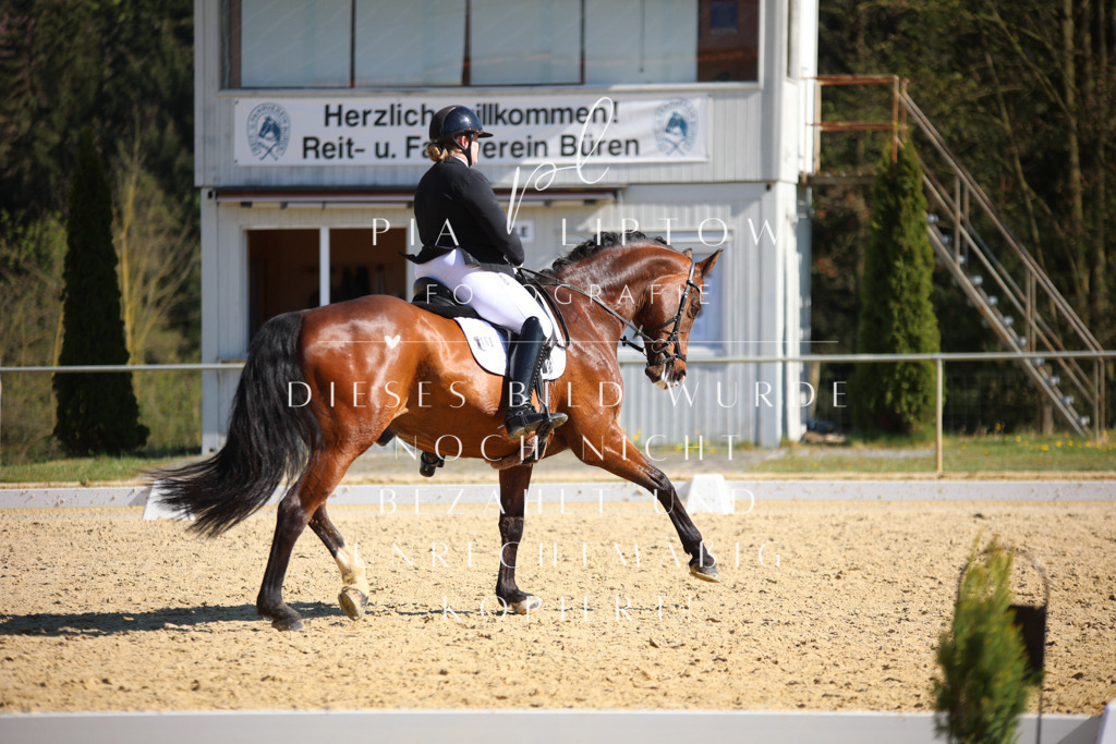 IMGT8671 | pl-fotografie