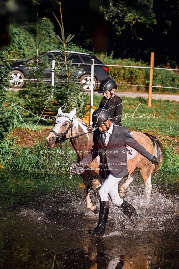 DSC_0338 | Pferde- und Turnierfotografie in Westsachsen. Pferdeportraits, Auftragszeichnungen und intuitive Kunst.