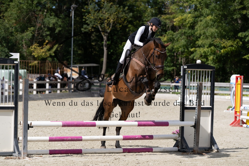 A7V07409 | Turnier/Reitfotograf
