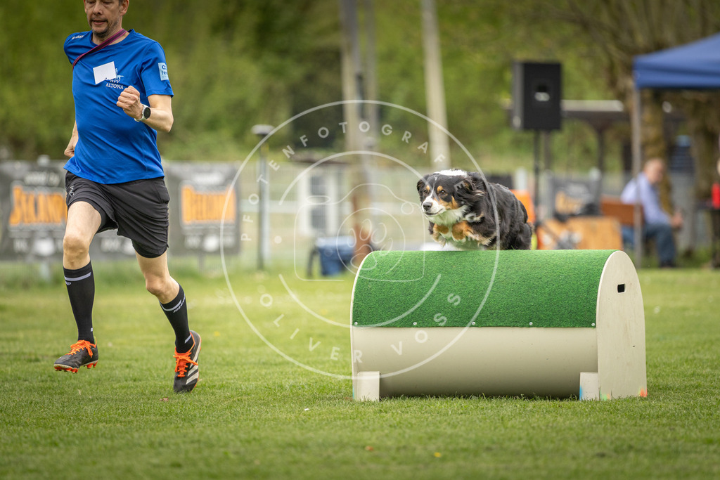 Pfotenfotografie_DV3A1468 | Hundefotografie, Tierfotograf, Pfotenfotografie, Fotoshooting Hund, Hunde Portrait, Hundesport, Hundeportraits, Heideshooting, Hunde, Sportfotograf, Hundefotograf, Turnierhundsport, THS,  - Realisiert mit Pictrs.com