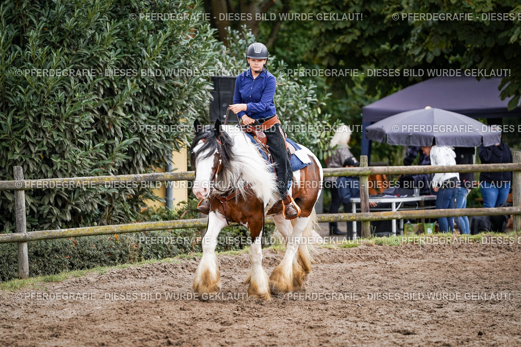 DSC08774 | Pferdegrafie