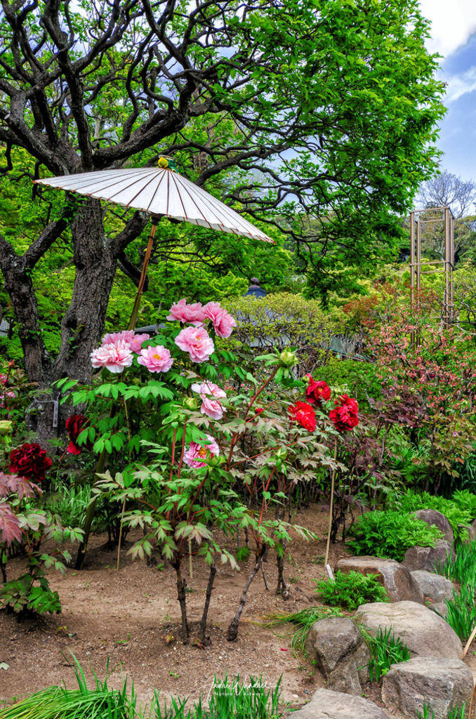 Garten Eden | Andre Wandrei - Nature Artworx - Realisiert mit Pictrs.com