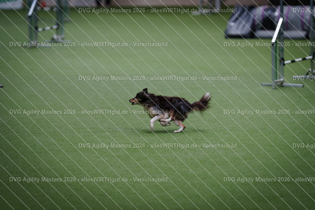 allesWIRTHgut_Tierfotografie-DVG_Agility_Masters_2026-12_33-7R508674 | Professionelle Tierfotografie in Mönchengladbach von Daniel Wirth (allesWIRTHgut). Liebevolle & natürliche Bilder von Hunden & Katzen für unvergessliche Erinnerungen.