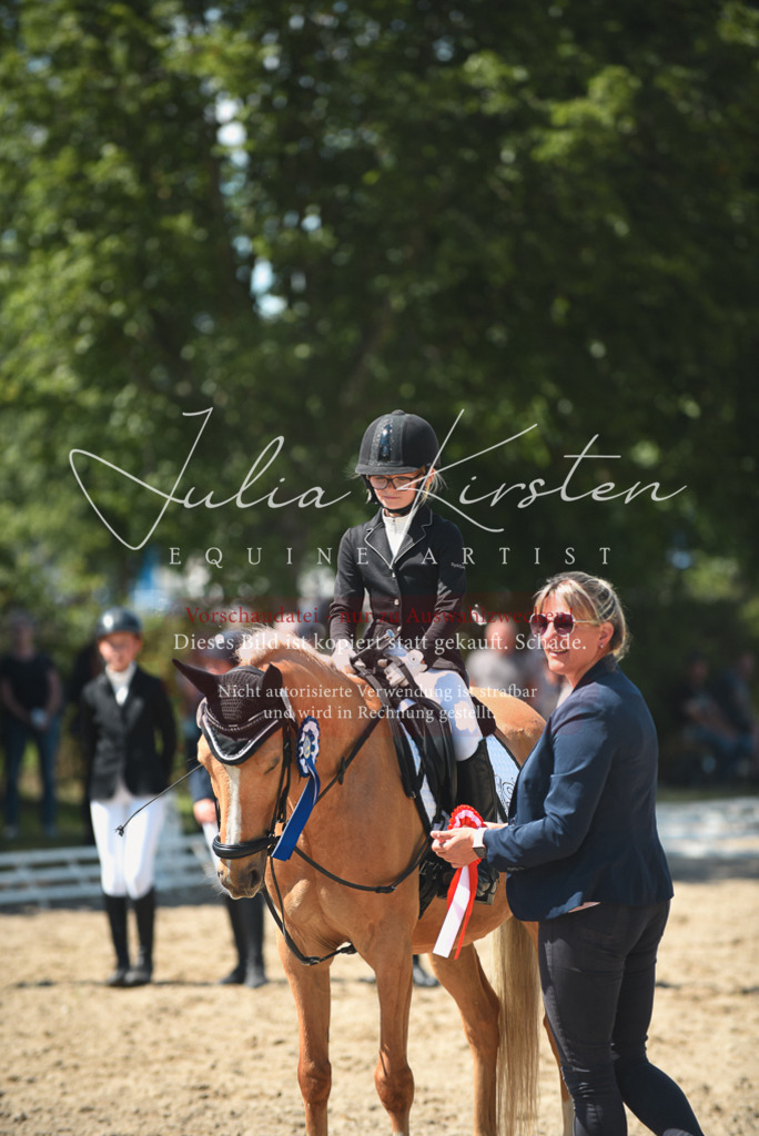 DSC_2564 | Pferde- und Turnierfotografie in Westsachsen. Pferdeportraits, Auftragszeichnungen und intuitive Kunst.