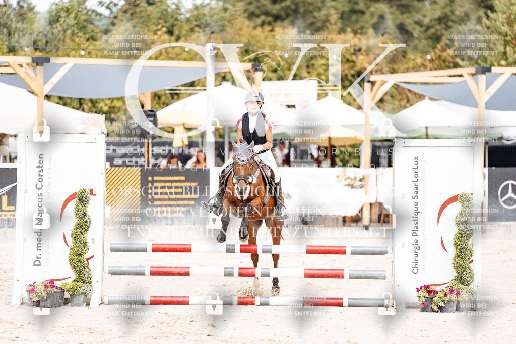 CK906424 | Turnierfotografie Pferdefotografie Trier Rheinland-Pfalz Pferdesport Reitsport Tierfotografie Sportfotografie Pferdevideo Pferdevideografie Equestrianvideography equestrianphotography  - Realisiert mit Pictrs.com