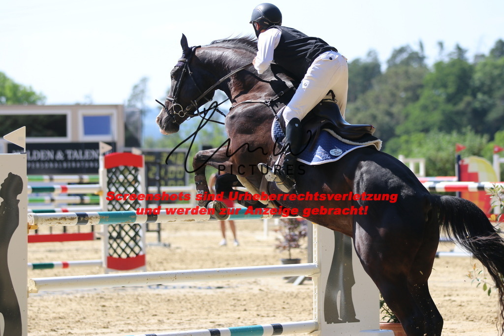 IMG_3026 | lmwpictures - Realisiert mit Pictrs.com