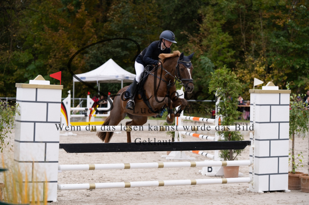 A7V00958 | Pferdefotograf