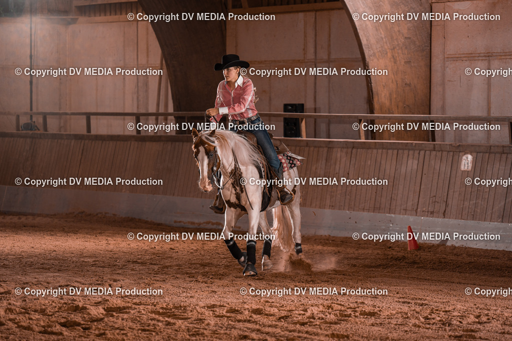 NE201497 | dv-media-shop - Realisiert mit Pictrs.com