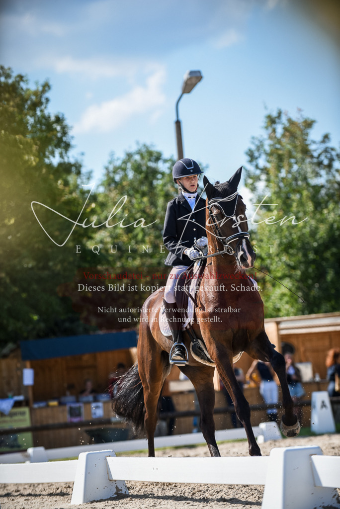 DSC_9610 | Pferde- und Turnierfotografie in Westsachsen. Pferdeportraits, Auftragszeichnungen und intuitive Kunst.