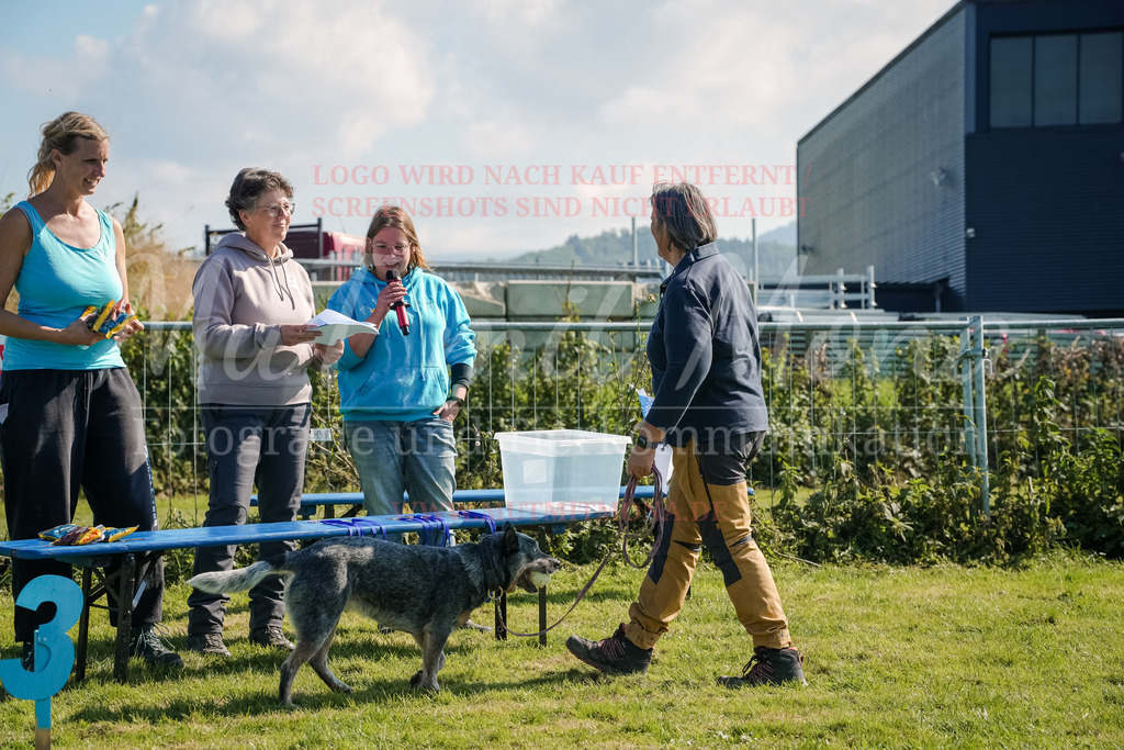 20250928_Hunderennen-753 | MuT (Mensch und Tier) mit Mona - Fotografie und Tierkommunikation - Realisiert mit Pictrs.com