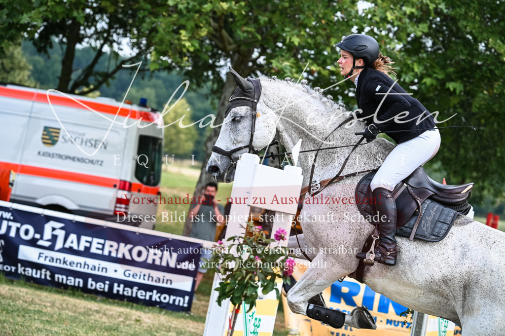 DSC_8346 | Pferde- und Turnierfotografie in Westsachsen. Pferdeportraits, Auftragszeichnungen und intuitive Kunst.