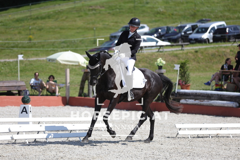 0P6A0283 | Willkommen bei Brunnmayr - Design & Fotografie – Ihrem Spezialisten für Reitturniere und Pferdeveranstaltungen in Oberösterreich, Salzburg und Bayern! Seit über 17 Jahren sind wir leidenschaftlich dabei.