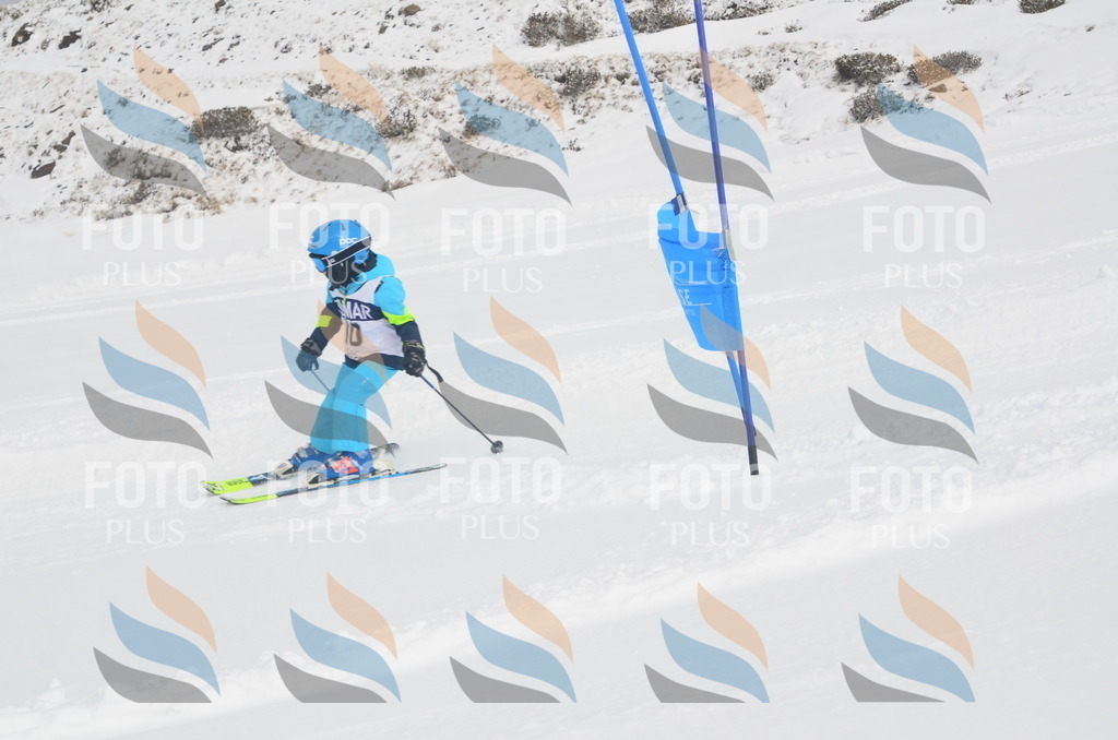 A5074 | holidayphoto