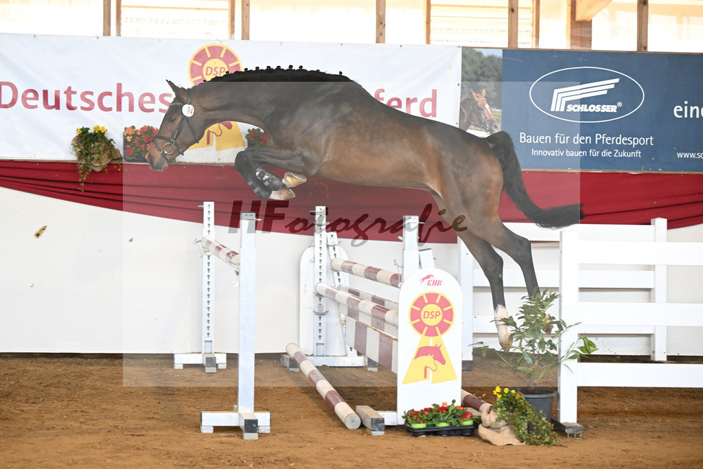 Kat-Nr. 34 Conthadero v. Conthargos_Schwuchow_16251058 | hf-fotografie - Realizzato con Pictrs.com