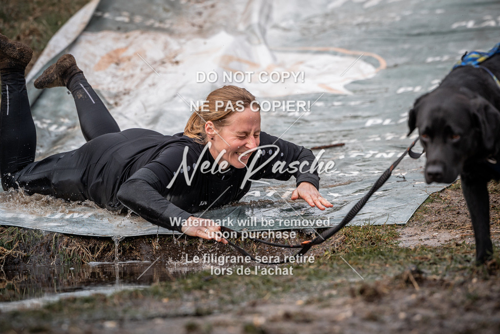 nelerasche_1330-1400_248 | nelerasche