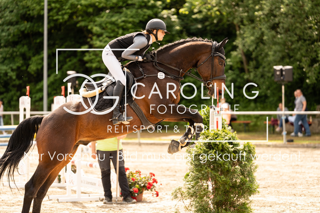 DSC02401 | Carolin Gieschke