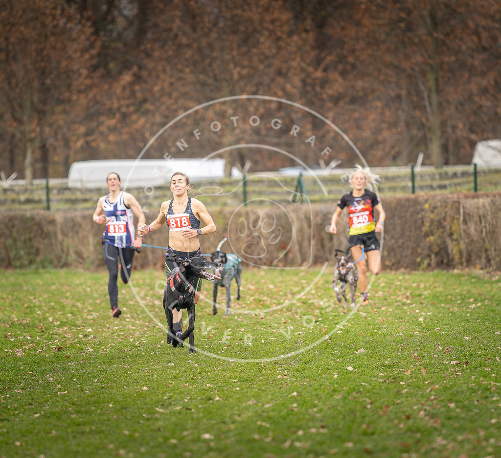 CaniXpix_DV3A6202 | Hundefotografie, Tierfotograf, Pfotenfotografie, Fotoshooting Hund, Hunde Portrait, Hundesport, Hundeportraits, Heideshooting, Hunde, Sportfotograf, Hundefotograf, Turnierhundsport, THS,  - Realisiert mit Pictrs.com
